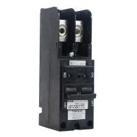 BJ2125 2 Pole 125 Amp 240v Circuit Breaker