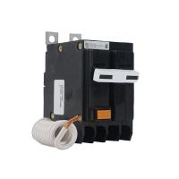 QBGFEP2025V 2 Pole 25 Amp 240V Circuit Breaker