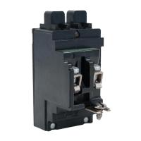 P1515 2 Pole 15 Amp 120v Circuit Breaker