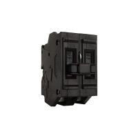 A2100NI 2 Pole 100 Amp 240V Circuit Breaker